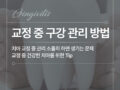 치아 교정 중 구강 관리 방법