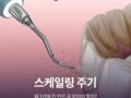스케일링 주기, 왜 1년에 한 번은 꼭 받아야 할까?