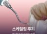 스케일링 주기, 왜 1년에 한 번은 꼭 받아야 할까?